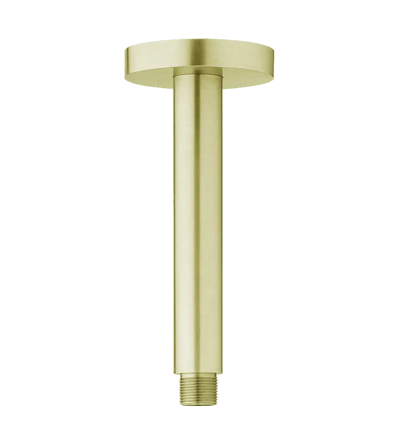 photo Bras plafonnier rond longueur 10 cm PVD laiton bro...